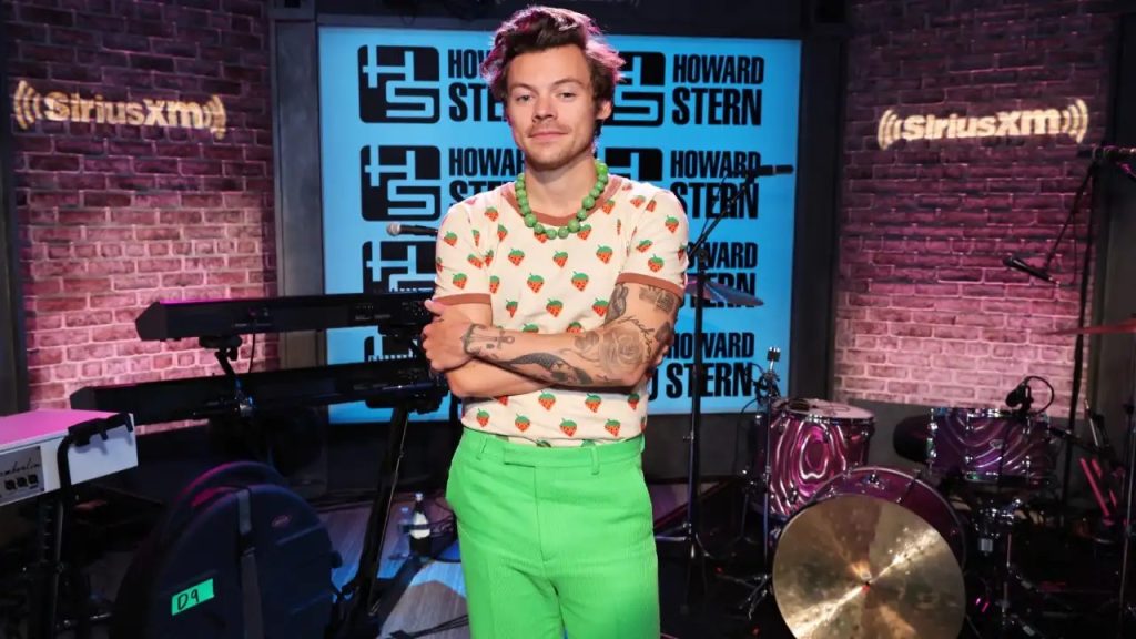 Harry Styles 20 fun facts about this superstar singer-actor