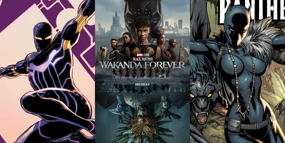 15 Most Powerful Variants Of Black Panther