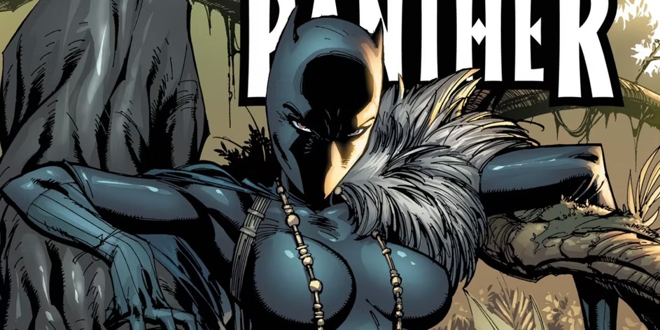 15 Most Powerful Variants Of Black Panther 13