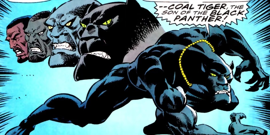 15 Most Powerful Variants Of Black Panther 7