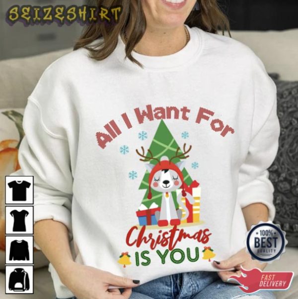 All I Want for Christmas Is You Cute Holiday T-Shirt