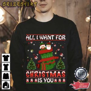 Gift For Family All I Want for Christmas Is You T-Shirt