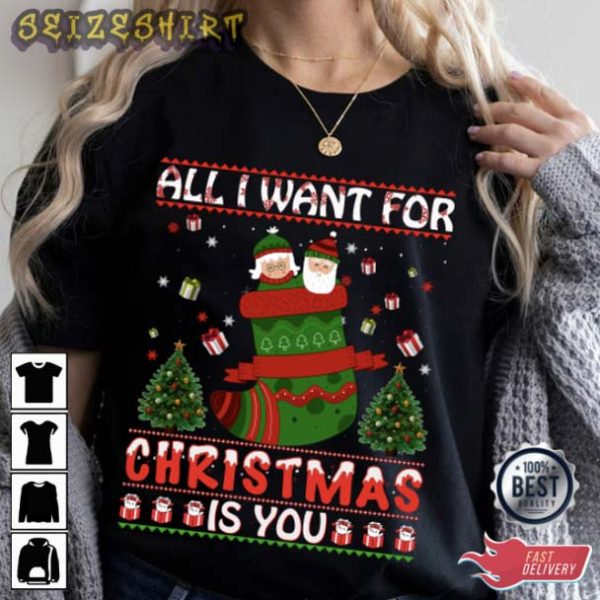 Gift For Family All I Want for Christmas Is You T-Shirt