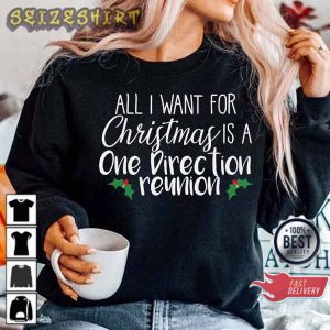 Funny All I Want For Christmas One Direction Reunion Merry Xmas Gift