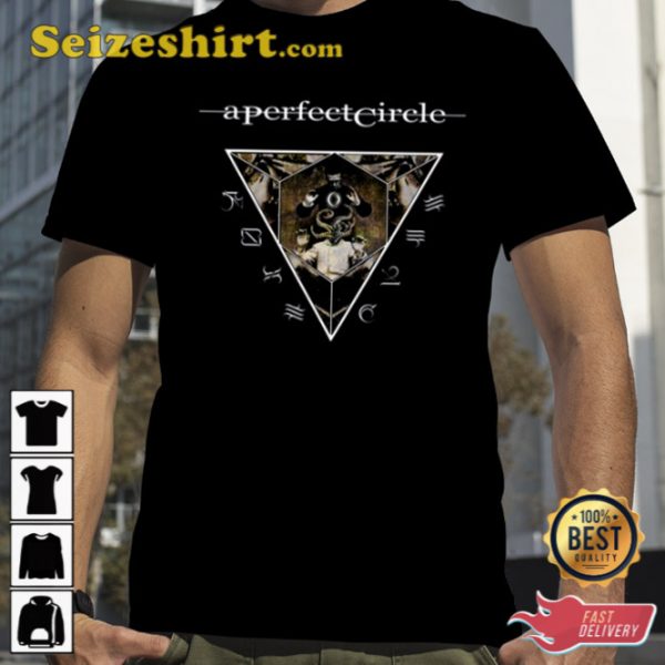 Alpha Perfect Sigma Circle Tour 2023 Shirt