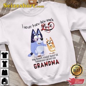 Bluey Family I Never Know How Much Love Shirt