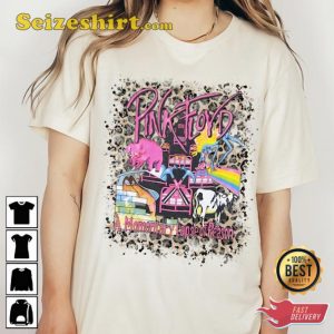 Pink Floyd Band A Momentary Lapse Of Reason RocknRoll Unisex T-Shirt