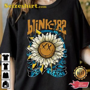 Blink 182 Doodle Art Shirt, Vintage Blink 182 Lyric Song Shirt, Music Retro Unisex Shirt, 90s Music Fan Gifts, Rock Band Shirt, Old School