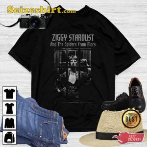 David Bowie The Rise And Fall Of Ziggy Stardust And The Spiders From Mars T-Shirt