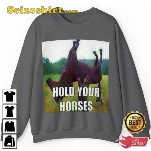 Hold Your Horses Antimeme Funny Meme Fanwear Stylish Unisex Hoodie