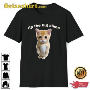 Rip The Big Slime Crying Cat Meme Internet Viral T-Shirt