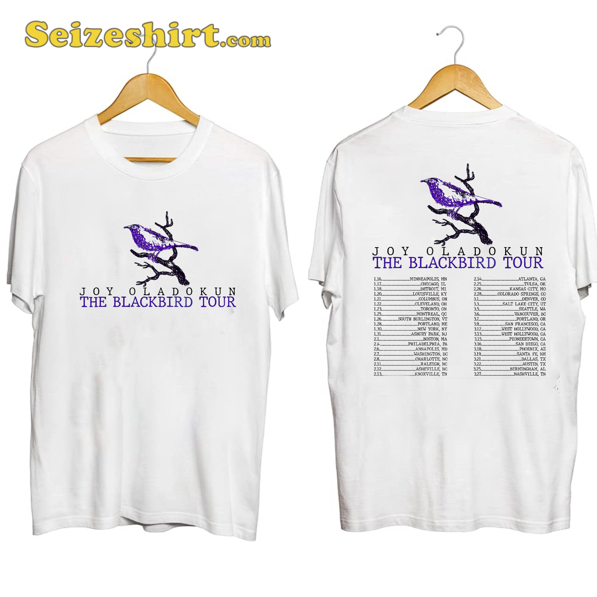 Joy Oladokun The Blackbird Tour Shirt