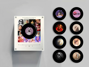 Ariana Grande Vinyl Magnetic Music Player
